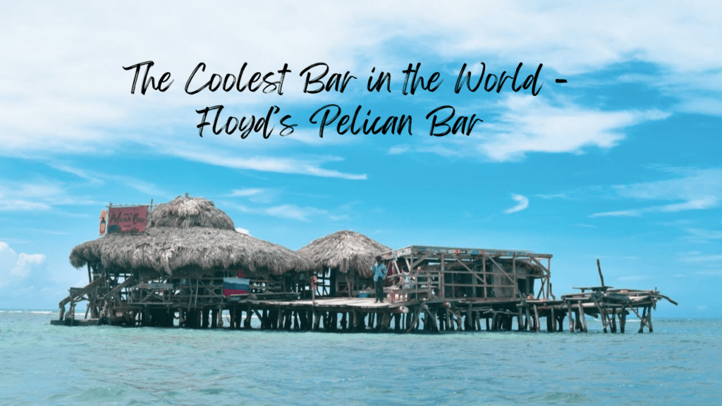 Sipping a cold Red Stripe at the World’s Coolest Bar – Floyd’s Pelican Bar