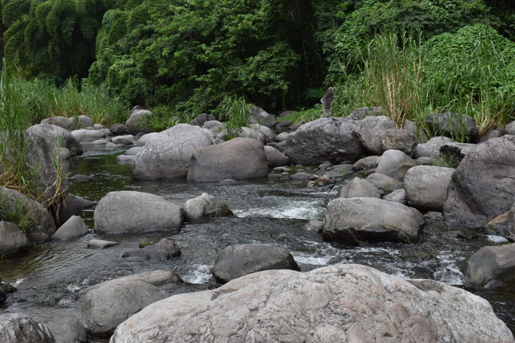 The Wag Water River flowing through large smooth rocks and lush greenery in St. Mary, Jamaica — a quiet and rugged river known for its natural beauty and historical roots among the Jamaican rivers.