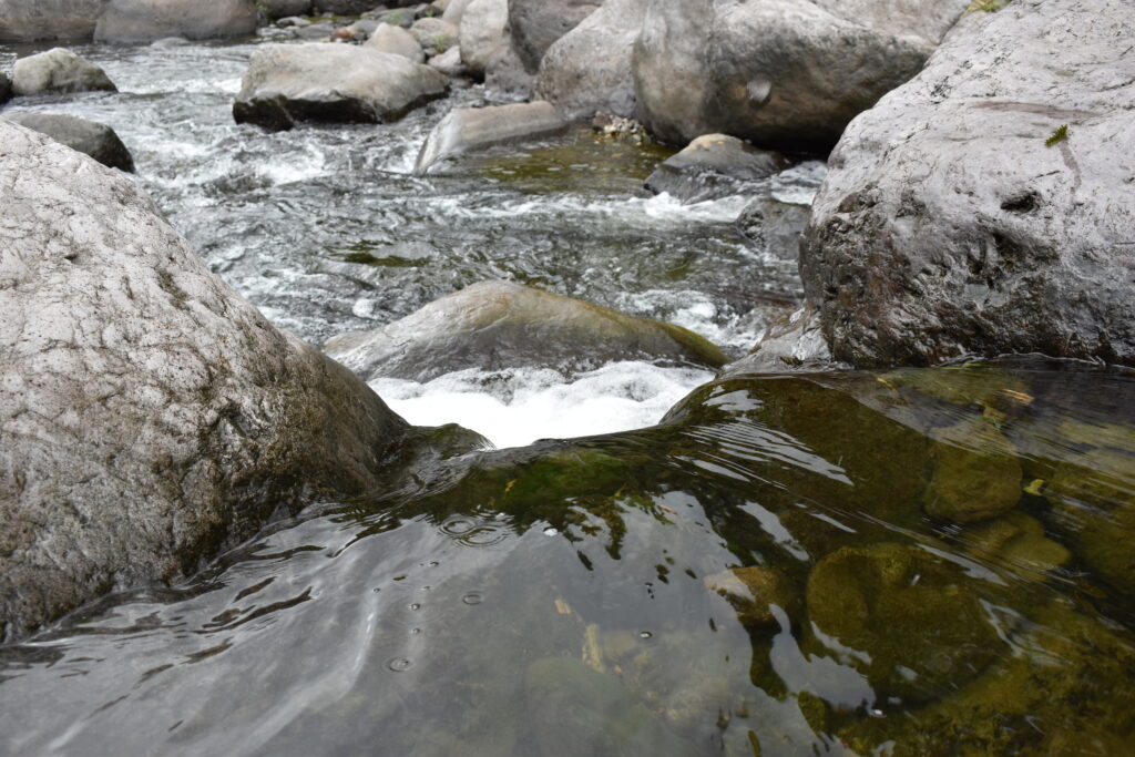 The Wag Water River flowing through large smooth rocks and lush greenery in St. Mary, Jamaica — a quiet and rugged river known for its natural beauty and historical roots among the Jamaican rivers.