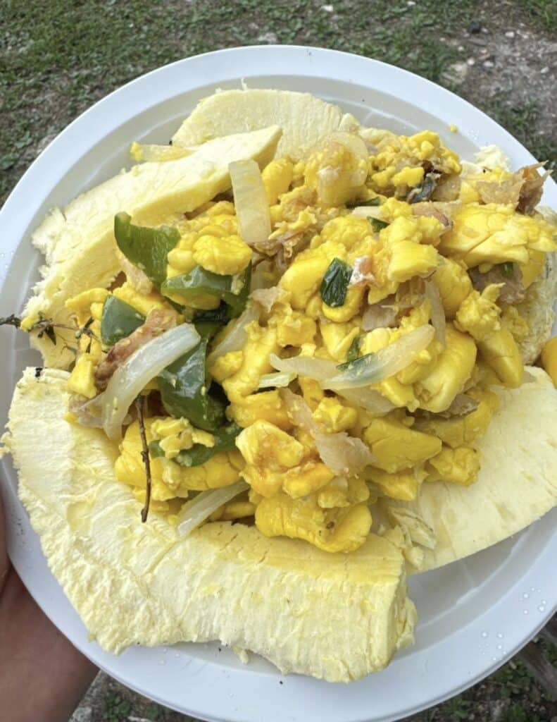 ackee and saltfish served with breadfruit Jamaica