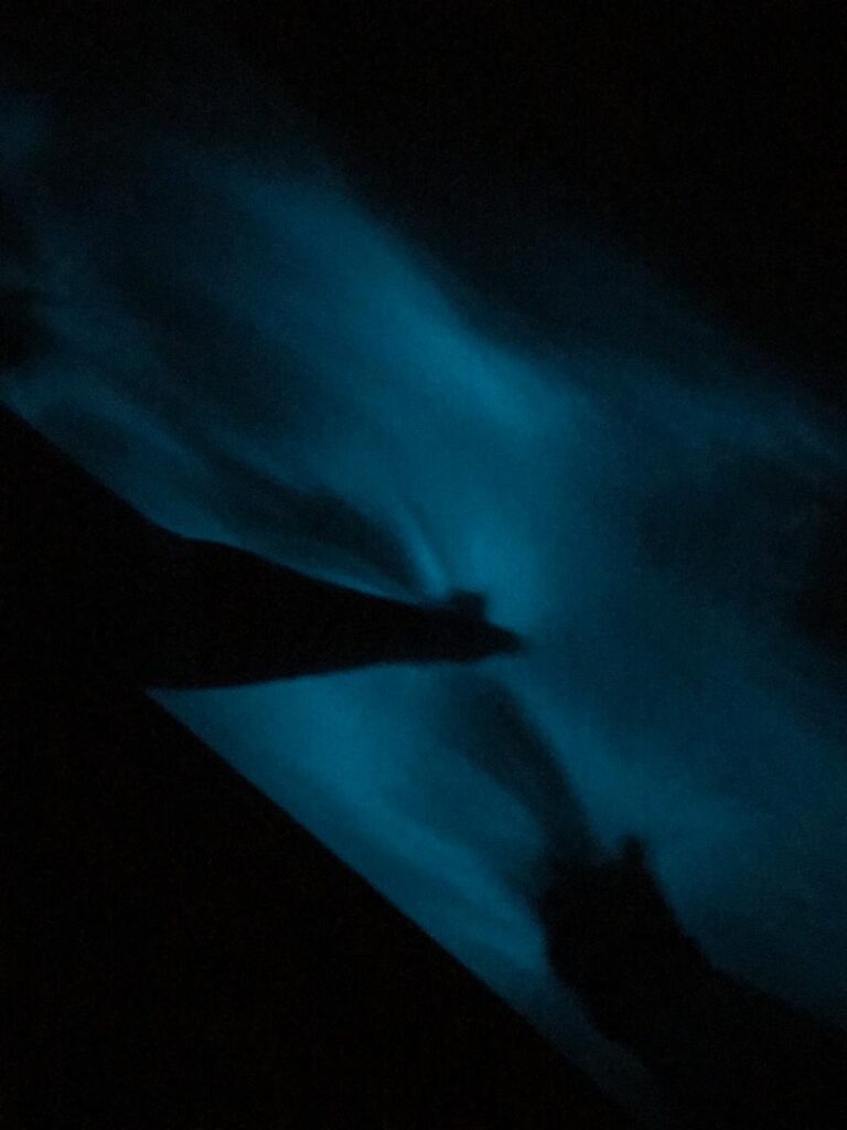 Bioluminescent glow in the Luminous Lagoon Jamaica photographed with a phone camera at night