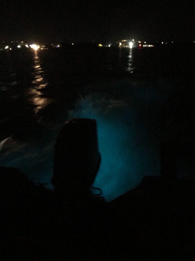 Bioluminescent blue glow in the wake of a boat on the Luminous Lagoon Jamaica at night