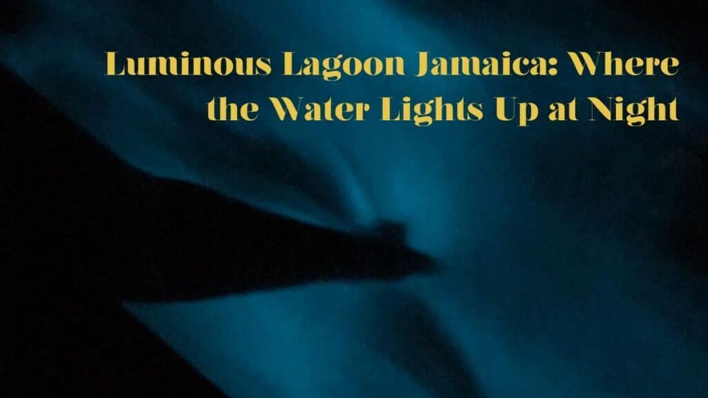 Luminous Lagoon Jamaica glowing blue water at night in Falmouth