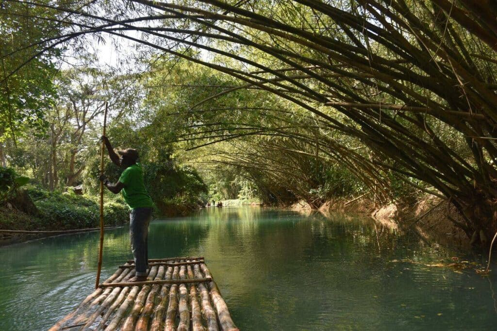 Bamboo rafting Jamaica — raft captain under a bamboo canopy on the Martha Brae River