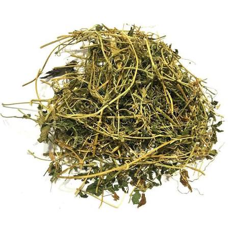 Dried cerasee bush used in Jamaica to make herbal cleansing tea