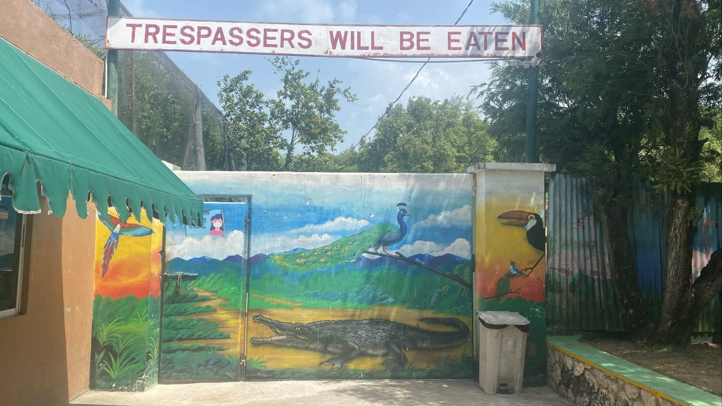 Jamaica Swamp Safari Village - things to do in Trelawny Jamaica