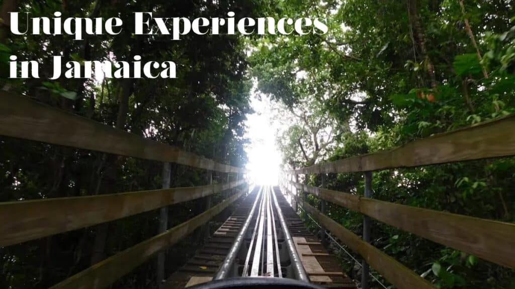 unique experiences in Jamaica rainforest bobsled ride through tropical forest