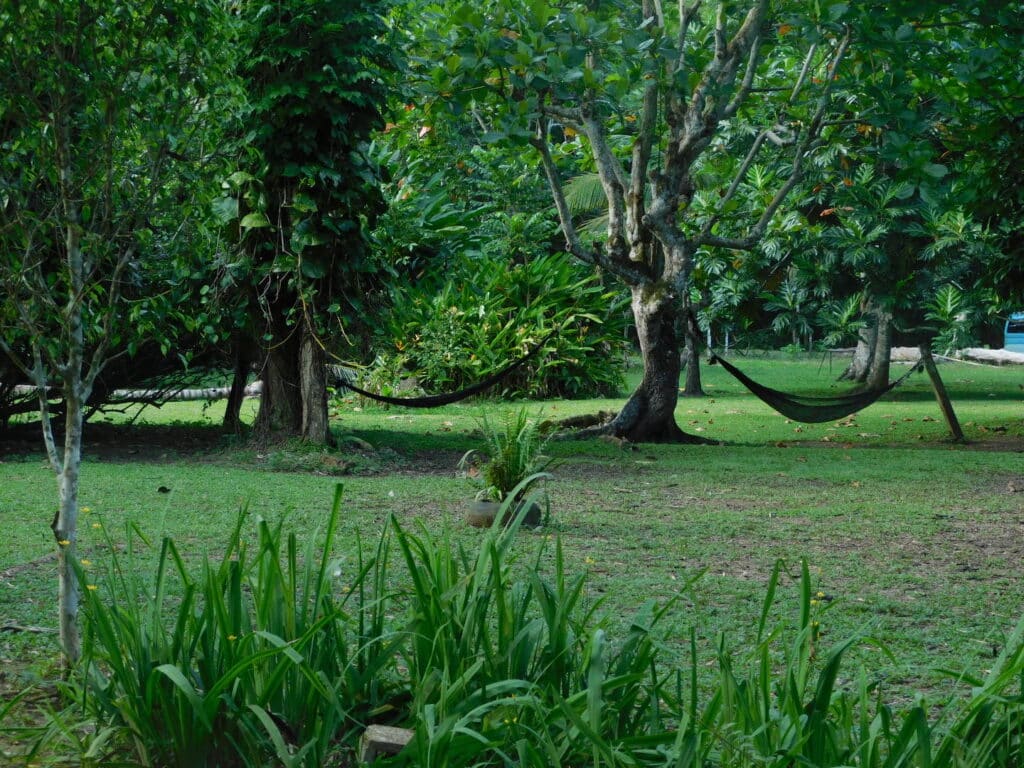 Two hammocks strung between trees at Calby's Hidden Beauty riverside retreat, White River Jamaica