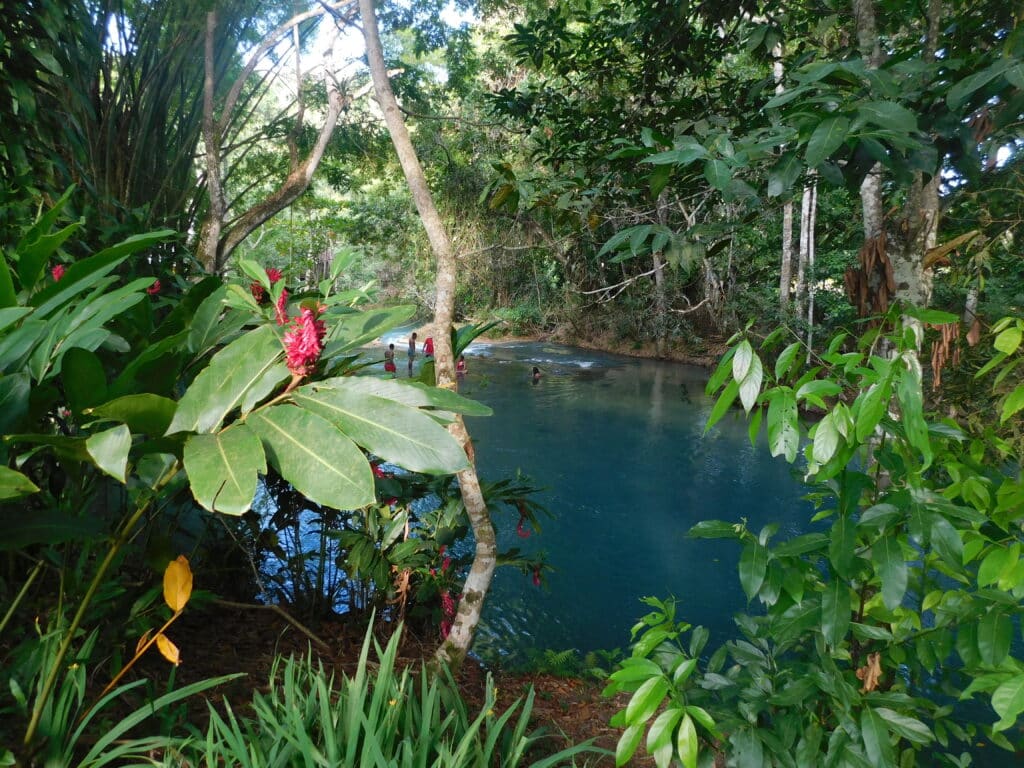 Deep blue swimming pool framed by red ginger lilies at Calby's Hidden Beauty, White River Jamaica