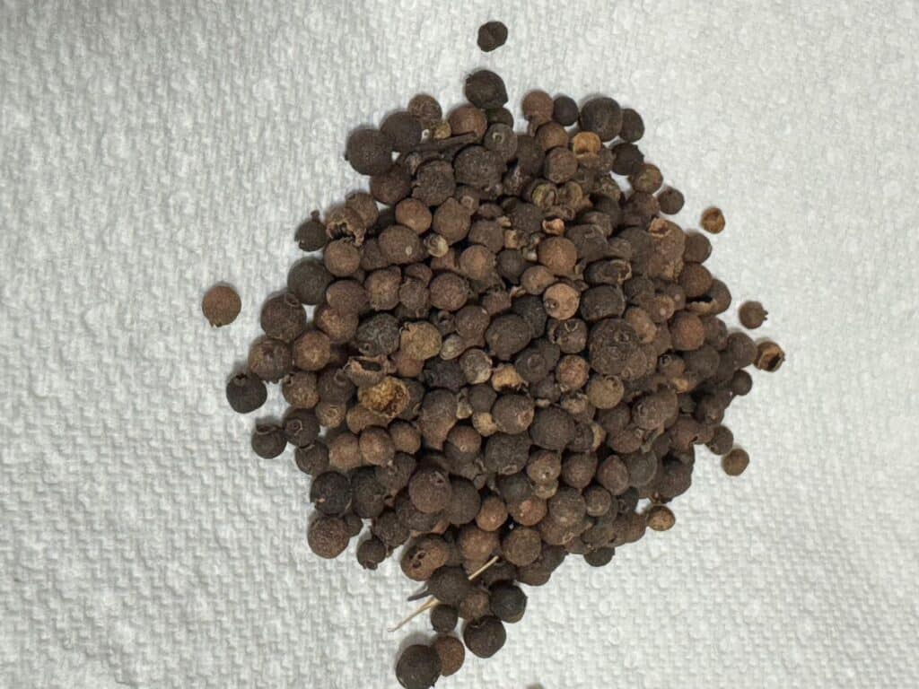 Dried pimento (allspice) berries, the whole spice used in Jamaican cooking and jerk seasoning